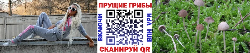 Галлюциногенные грибы мухоморы Барыш